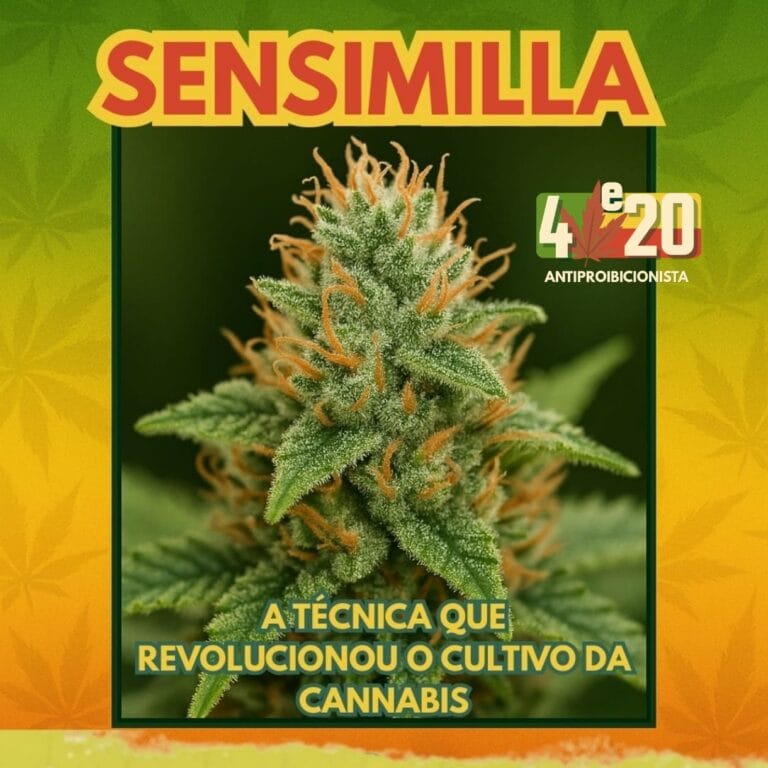 sensimilla-capa